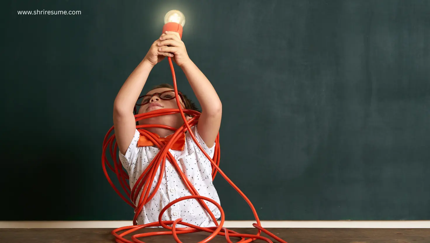 JobSeekers shriresume blog